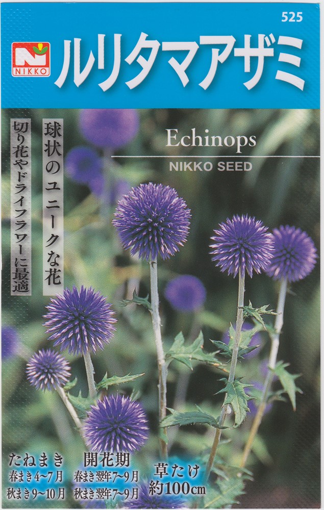 日光種苗 ルリタマアザミのタネ［内容量:0.3ml（約15粒）]【525