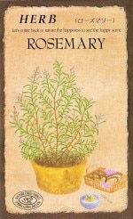 ġϡ֥֡ޥ꡼802ۡפΥ͡[̡0.1ml30γ]