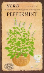 ġϡ֥֡ڥѡߥȡ803ۡפΥ͡[̡0.1ml360γ]