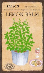 ġϡ֥֡С804ۡפΥ͡[̡0.2ml240γ]