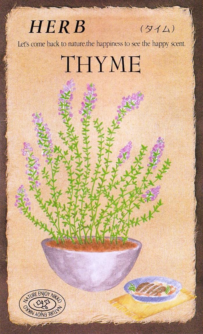 �������ġ��ϡ��֥֡������805�ۡפΥ��͡�[�����̡�0.2ml����400γ��]