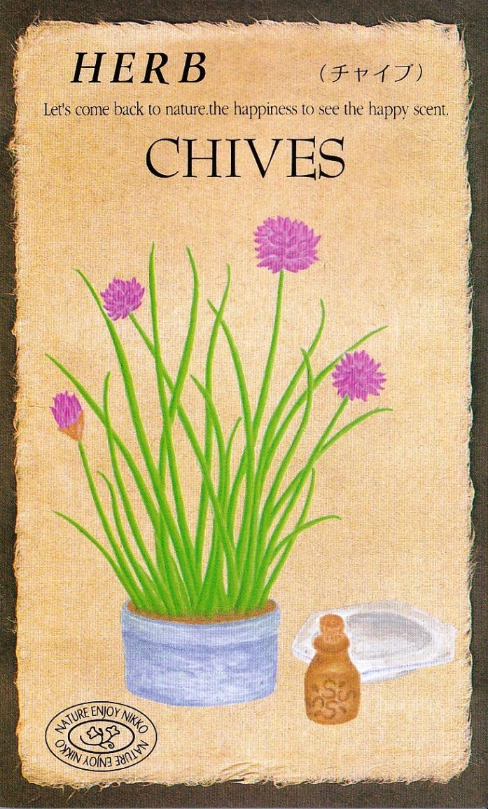 �������ġ��ϡ��֥֡��㥤�֡�806�ۡפΥ��͡�[�����̡�0.2ml����70γ��]