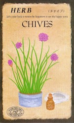 ġϡ֥֡㥤֡806ۡפΥ͡[̡0.2ml70γ]