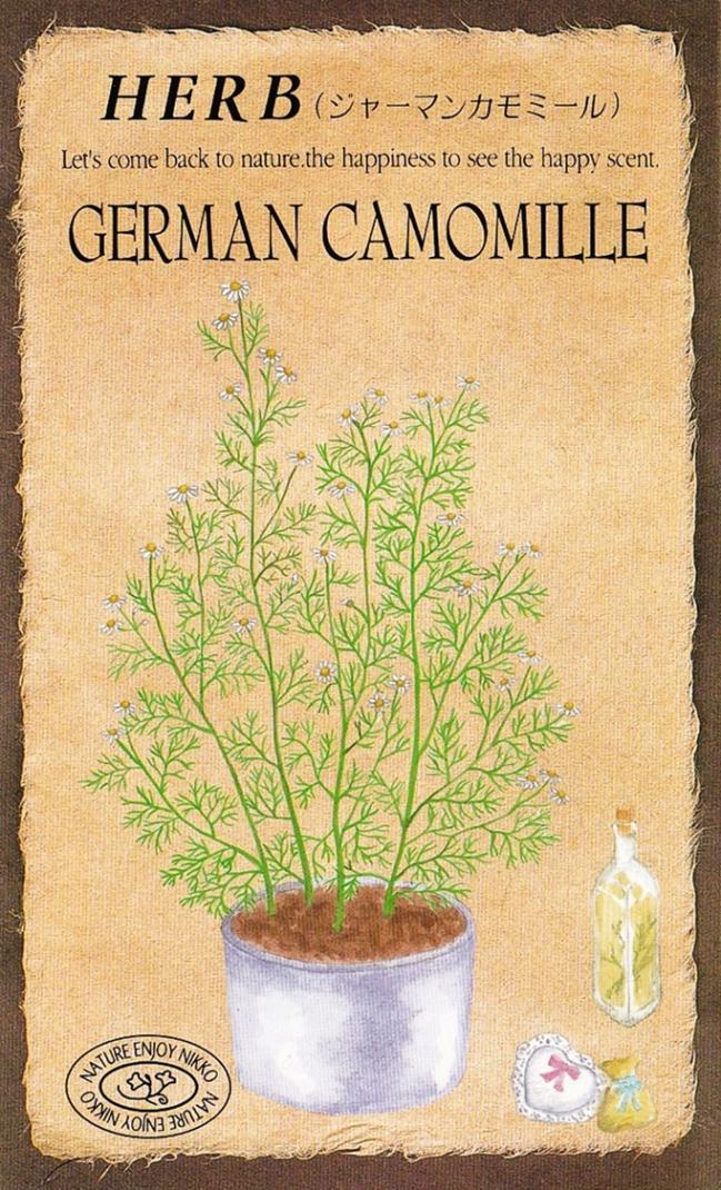 ġϡ֥֡㡼ޥ󥫥ߡ807ۡפΥ͡:0.1ml400γˡ