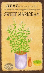 ġϡ֥֡ȥޥ808ۡפΥ͡[̡0.1ml110γ]