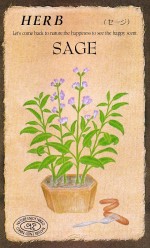 ġϡ֥֡810ۡפΥ͡[̡0.3ml20γ]