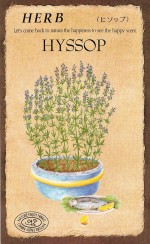 ġϡ֥֡ҥå 811ۡפΥ  [̡0.2ml60γ]