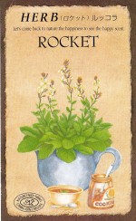 ġϡ֥֡åȡʥåˡ812ۡפΥ͡[̡0.3ml80γ]