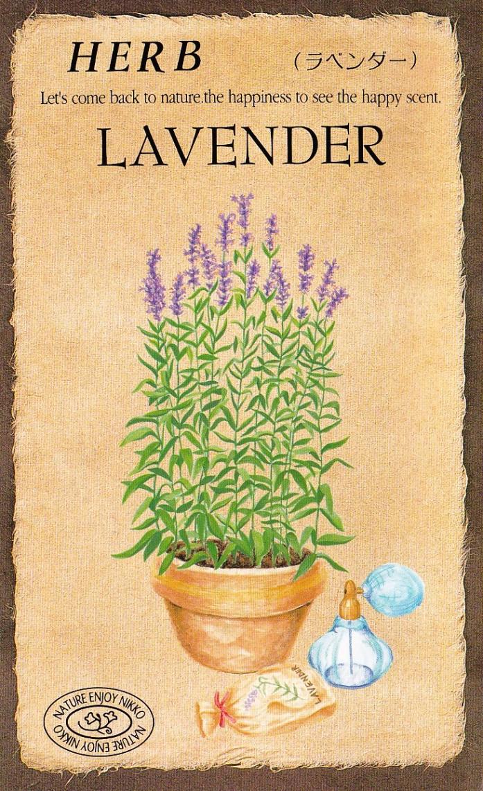 �������ġ��ϡ��֥֡�٥������813�ۡפΥ��͡�[�����̡�0.1ml����40γ��]