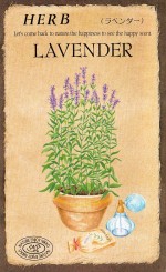 ġϡ֥֡٥813ۡפΥ͡[̡0.1ml40γ]