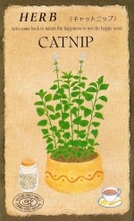 ġϡ֥֡åȥ˥åס815ۡפΥ͡[̡0.2ml200γ]