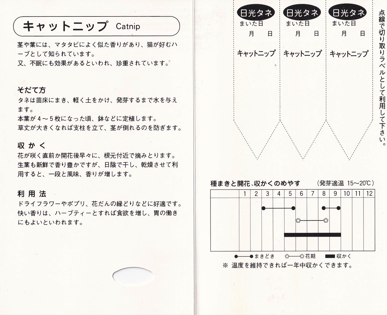 日光種苗 ハーブ「キャットニップ【815】」のタネ [内容量：0.2ml（約
