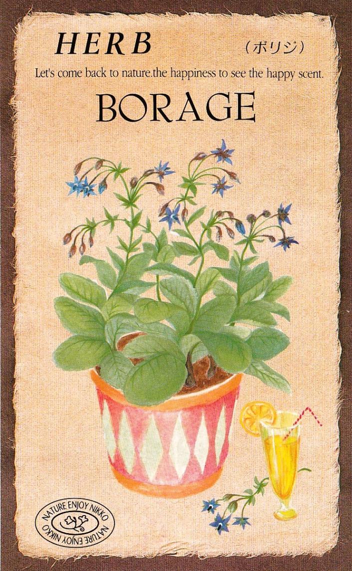 �������ġ��ϡ��֥֡ܥꥸ��817�ۡפΥ��͡�[�����̡�0.5ml����10γ��]