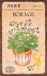 ġϡ֥֡ܥꥸ817ۡפΥ͡[̡0.5ml10γ]