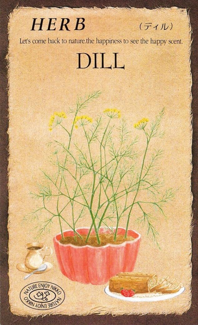 �������ġ��ϡ��֥֡ǥ����818�ۡפΥ��͡�[�����̡�0.5ml����100γ��]