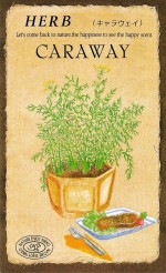 ġϡ֥֡饦823ۡפΥ͡[̡0.3ml35γ]