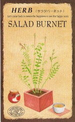 ġϡ֥֡Сͥåȡ827ۡפΥ͡[̡0.5ml20γ]