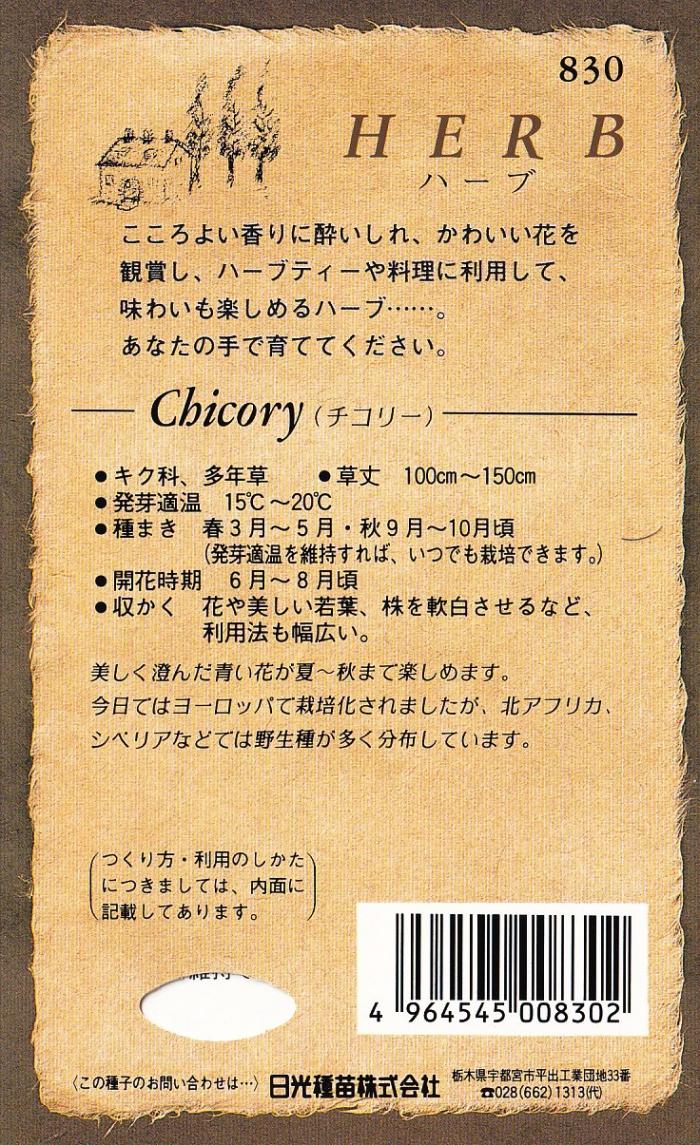 日光種苗 ハーブ「チコリー【830】」のタネ