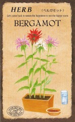 ġϡ֥֡٥륬åȡǥǥޡ833ۡפΥ͡[̡0.05ml]