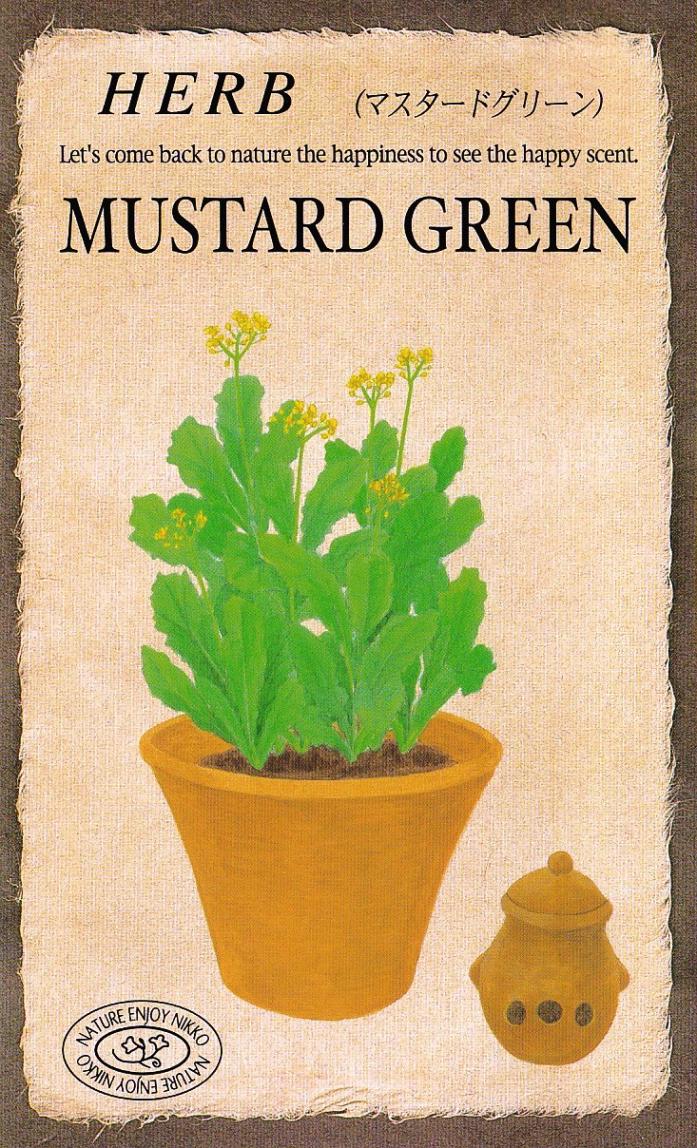 �������ġ��ϡ��֥֡ޥ������ɥ��꡼���843�ۡפΥ��͡�[�����̡�0.2ml����90γ��]