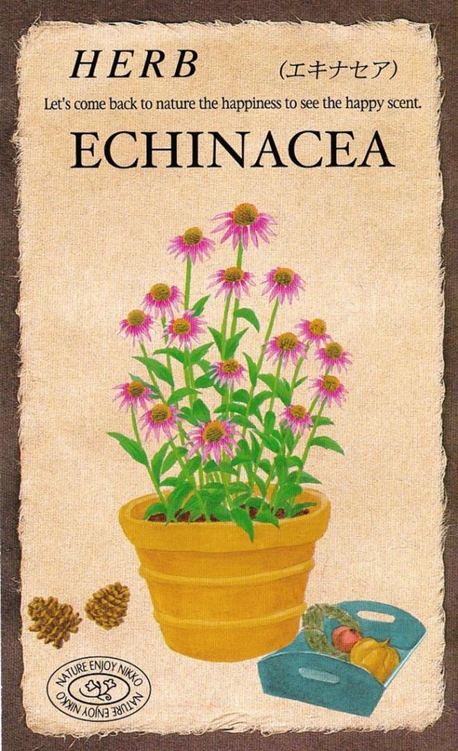 �������ġ��ϡ��֥֡����ʥ�����846�ۡפΥ��͡�[������:0.4ml]