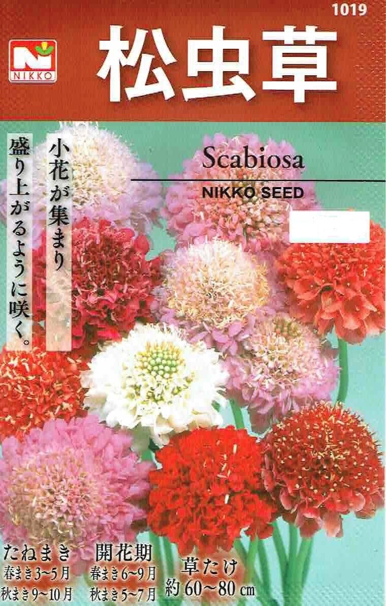 �������ġ����ξ�����ʤޤĤष�������ޥĥॷ�����ˤΥ��� [�����̡�1ml]��1019��