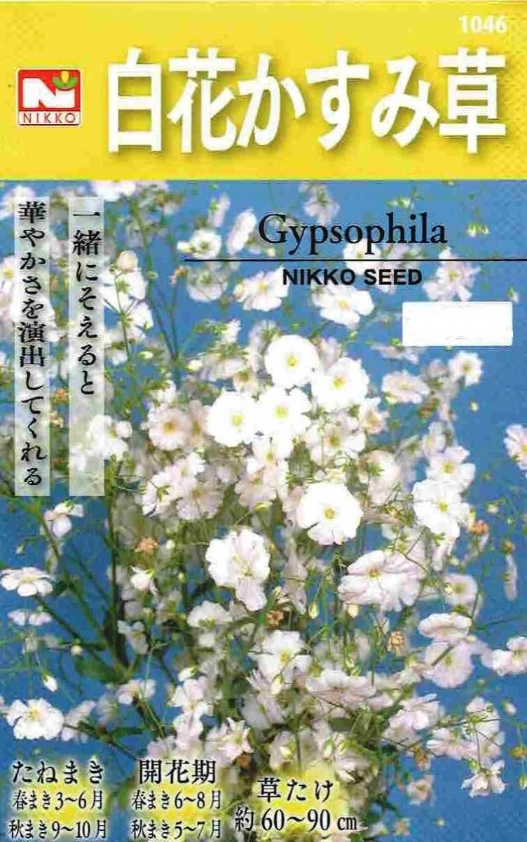 日光種苗 白花かすみ草（カスミソウ）のタネ[内容量：0.7ml]【1046