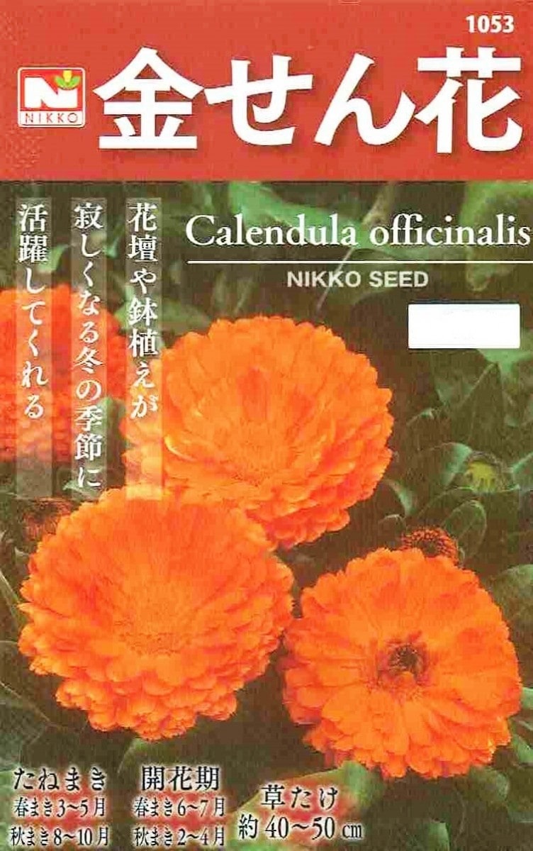 【現品】金蝉　検索) 皇冠　麻花 銀座 真生堂 | 推定 林小伝治 / 明治 七宝 / 総金線 花鳥図 箱 ※SOLD