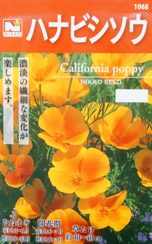 【中古】 花びし草 日光種苗 ハナビシソウのタネ［内容量:100ml］（花菱草、はなびしそう
