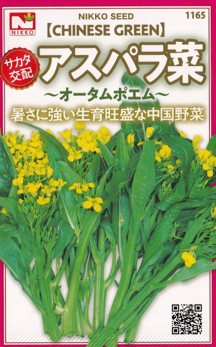 �������ġ������ѥ�ڡʥ�������ݥ���ˤΥ��͡�[�����̡�1ml]��1165�ۡ��ʼ�̾���������ࡡ�ݥ����