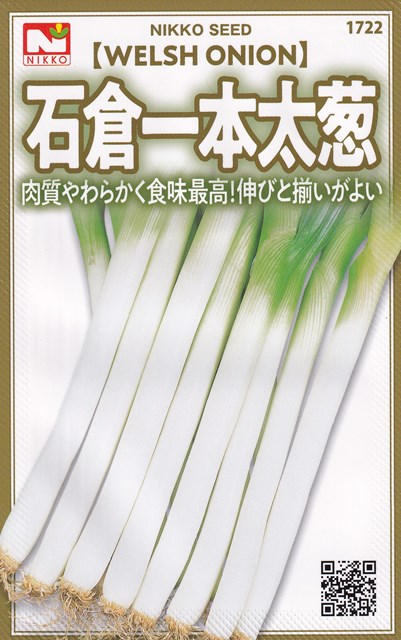 ねぎまき 41iCj2fTRSL._UF350,350_QL50_.jpg