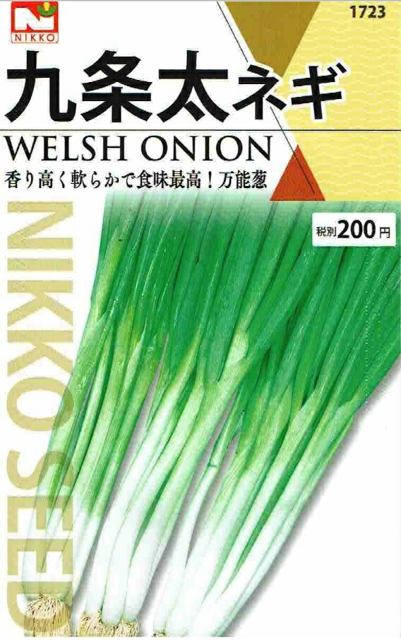 九条太ネギ苗約1000本 Amazon.co.jp: 「九条太ねぎポット苗(干しねぎ挿し苗)」【野菜苗