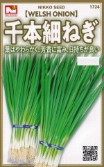 ġܺǬʤͤͥˤΥ͡[̡5ml]1724