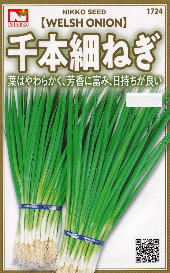 日光種苗 千本細葱（ねぎ・ネギ）のタネ [内容量：約5ml]【1724