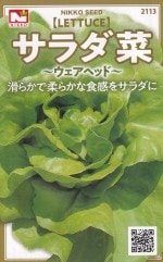 ġڡإåɤΥ͡[̡3ml]2113