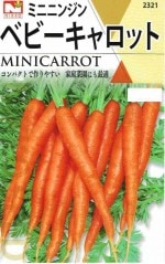 ġ٥ӡåȡʥߥ˥˥󥸥ˤΥ͡[̡3ml]2321