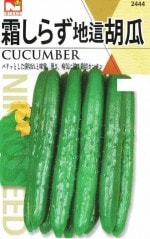 ġ餺礭夦ʸձ奦ˤΥ͡[̡3ml]2444