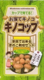 ֥Υåסʥ֥饦ώَѡˡ׺ݥå