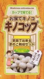 ֥Υåסʥۥ磻Ȏώَѡˡ׺ݥå