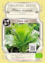 ��ͭ����ҡۡ�Ⱦ�����ڡפΥ��͡�0.6g(��260γ)