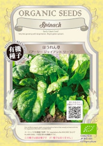 ��ͭ����ҡ� �ۥ���󥽥��������꡼���㥤����ȥ꡼�� 0.4g(��280γ) ��͹���б���