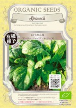 ͭҡ ۥ󥽥꡼㥤ȥ꡼ 0.4g(280γ) ͹б