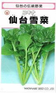 渡辺採種場 ユキナ 仙台雪菜 8ml