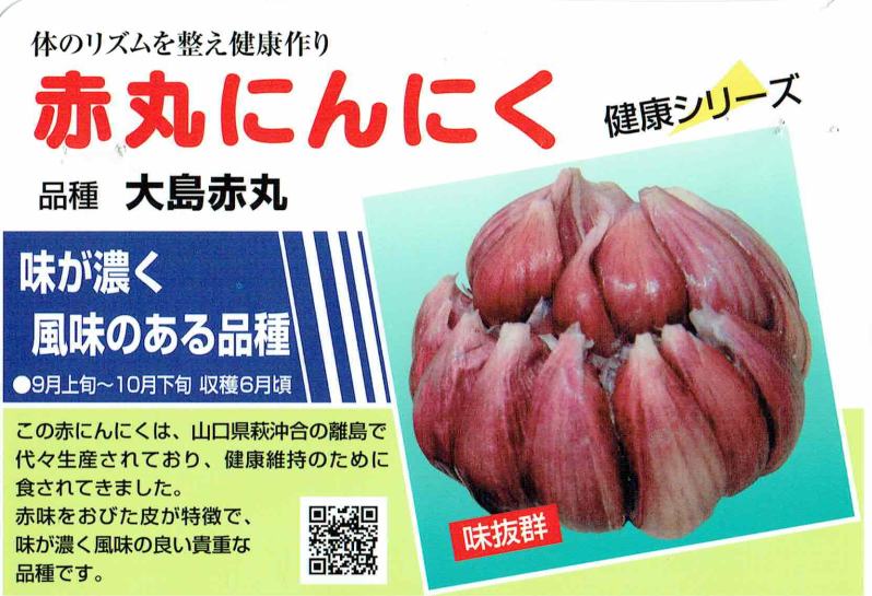 �񻺤ˤ�ˤ����ִݥ˥�˥������޵͡����ң��������ˡ�