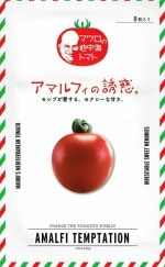 ʥƥåɡޥ泤ȥޥȡޥեͶǤΥ[̡8γ]