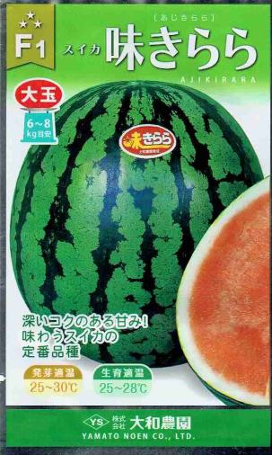 �������� ������ ̣����� ��7γ����͹���б���