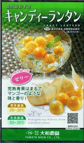 �������� ���ѥۥ����� �����ǥ�����󥿥� �����ȼ�� ��14γ�����ʼ�̾�������ǥ�����󥿥�_��Ͽ�ֹ桧��26273��_�������жػߡ�