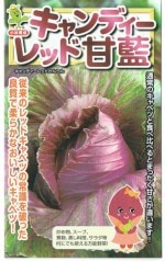 ���Ӽ��ġ�����٥� �����ǥ�����åɡ�[�����̡�1ml]