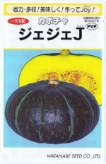 ���պμ�� ���ܤ��� ��������J ��9γ ��͹���б��ۡ��ʼ�̾����������J_��Ͽ�ֹ桧��23817��_�������жػߡ�