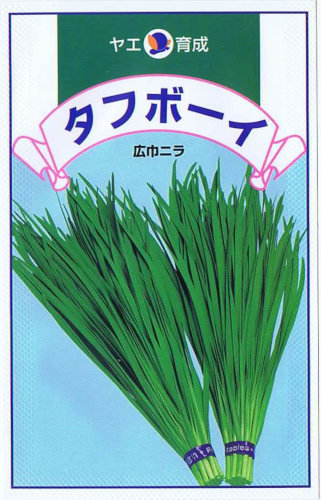 八江農芸 ニラ タフボーイ [内容量：8ml] | 【メーカー名からタネを